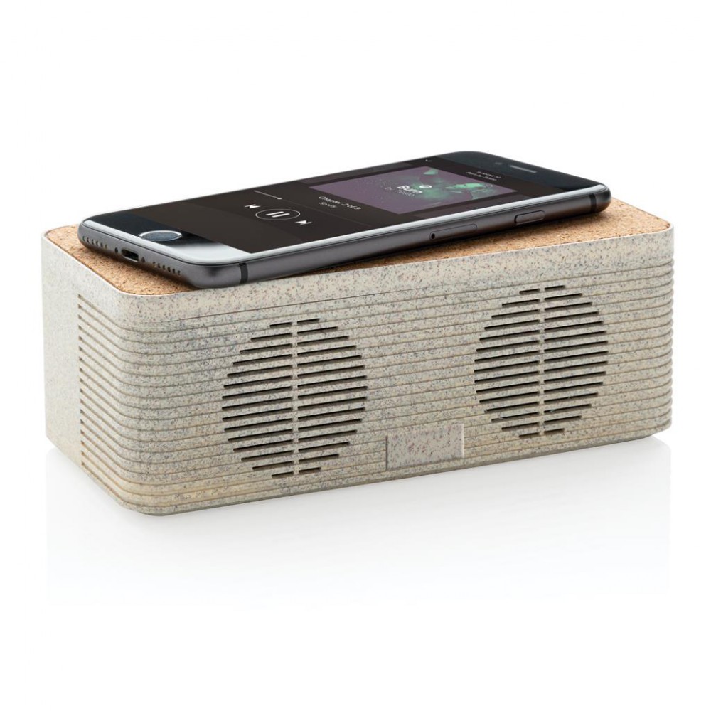 Tarwestro speaker en oplader